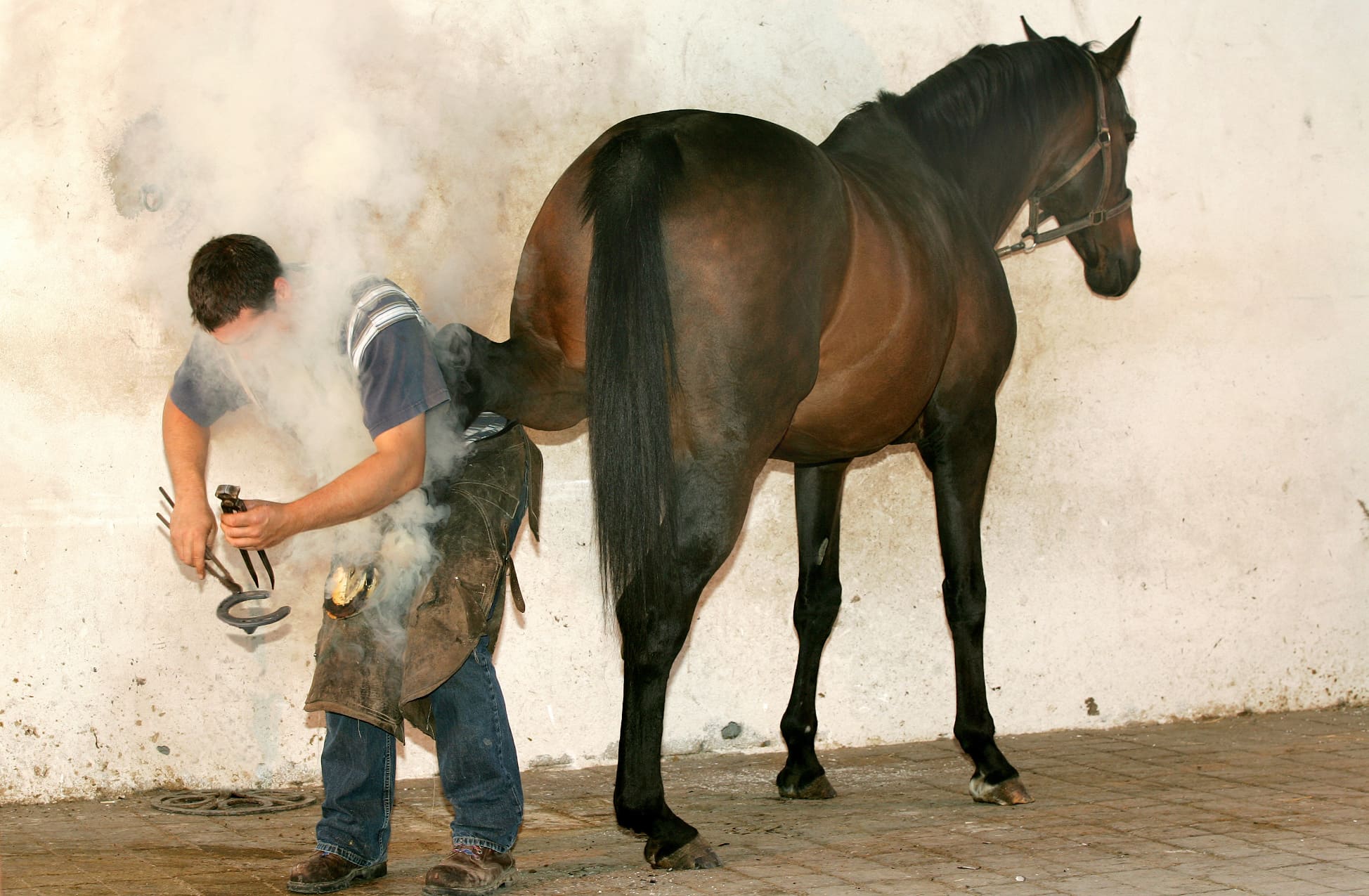 L'Expert comptable des Centres équestres